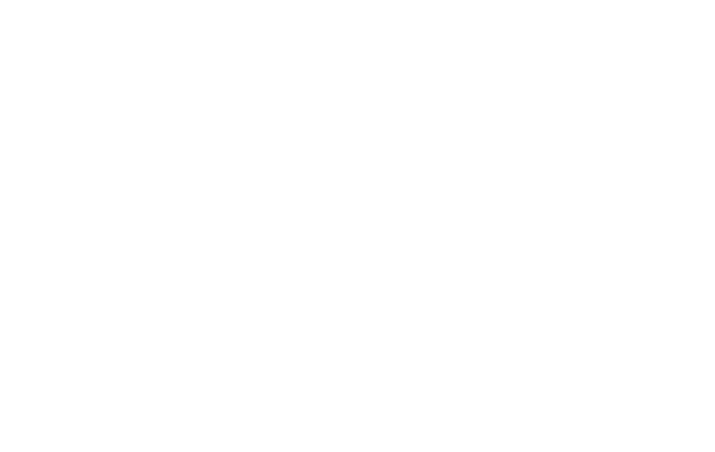 Avalon Cranes white logo